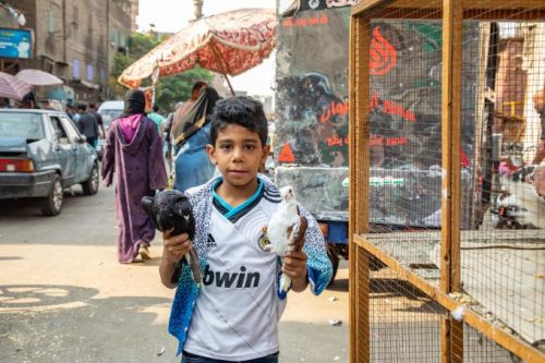 A boy with pigeons at the Souk al Gomaa Friday market in Cairo. Shutterstock/Emily Marie Wilson