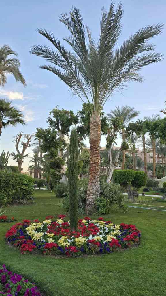 Garden at the Winter Palace Hotel Luxor.